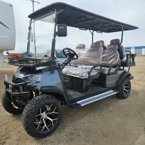 SDLANCH 2026 Electric 6-Seater Golf Cart (Grey) : SDLC100