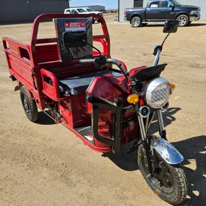 SDLANCH 2026 Electric Tricycle - Cargo : ET13 (Red)