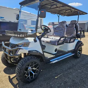 SDLANCH 2026 Electric 6-Seater Golf Cart (White) : SDLC100