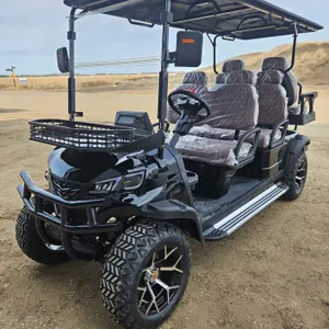SDLANCH 2026 Electric 6-Seater Golf Cart (Black) : SDLC100