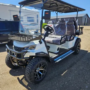 SDLANCH 2026 Electric 6-Seater Golf Cart (White) : SDLC100
