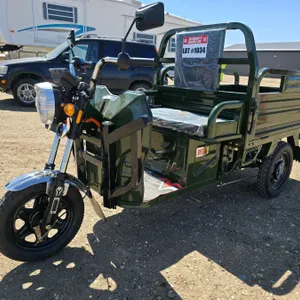SDLANCH 2026 Electric Tricycle - Cargo : ET13 (Green)
