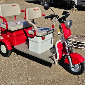 SDLANCH 2026 Mini Electric Golf Cart : IRGC40 (Red) (3-Wheel)