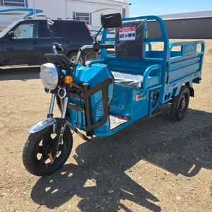 SDLANCH 2026 Electric Tricycle - Cargo : ET13 (Blue)