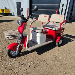 SDLANCH 2026 Mini Electric Golf Cart : IRGC40 (Red) (3-Wheel)