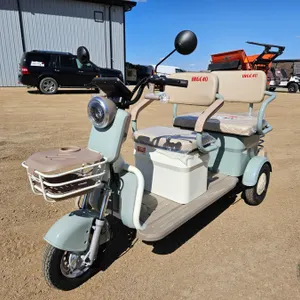 SDLANCH 2026 Mini Electric Golf Cart : IRGC40 (Green) (3-Wheel)