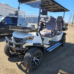 SDLANCH 2026 Electric 6-Seater Golf Cart (White) : SDLC100