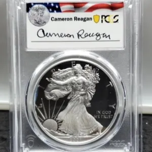 2021-W T1 Slab Proof Silver Eagle PCGS PR69 DCAM