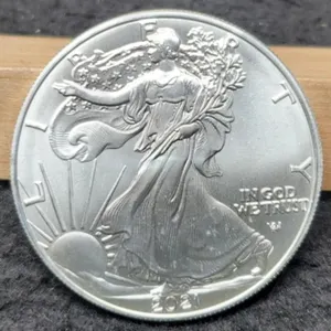 2021 T2 Silver Eagle