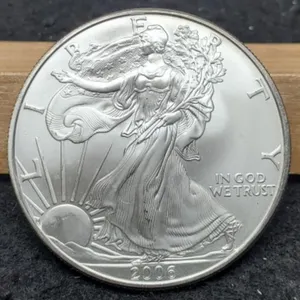 2006 Silver Eagle