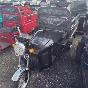 2026 IRET 13 ELECTRIC TRICYCLE *NO TITLE/ MSO