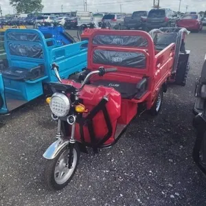 2026 IRET 13 ELECTRIC TRICYCLE *NO TITLE/ MSO