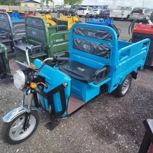 2026 IRET 13 ELECTRIC TRICYCLE *NO TITLE/ MSO
