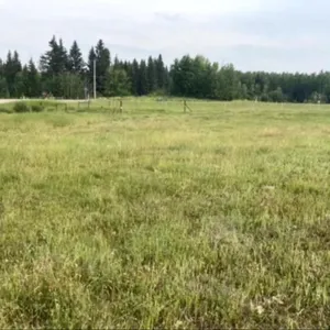 2026 Pasture Rent SE25-49-6W5M (145 ac)