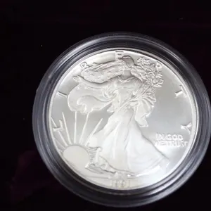 Silver American Eagle Proofs