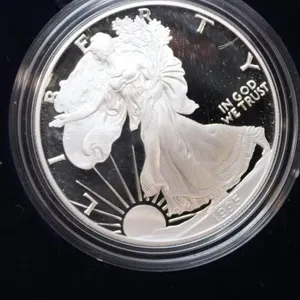 Silver American Eagle Proofs