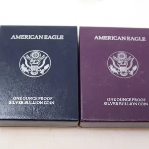 Silver American Eagle Proofs