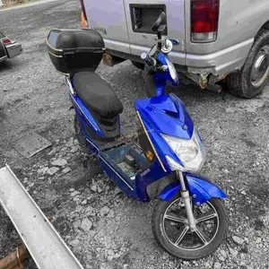Chameleon Deluxe Scooter