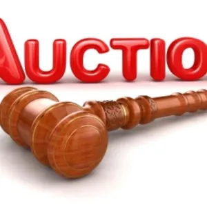 LIVE ON-SITE AUCTION INFO