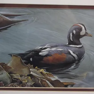Estate Wildlife Art Auction