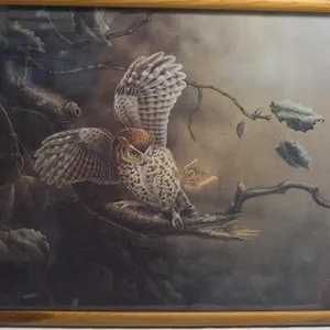 Mochael Dumas Print Owl & Moth