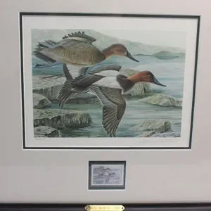John Ruthven Ltd Ed Print /4300 1984 Ducks Unlimid