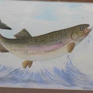 A Brier Artist Original Watercolor Rainbow Trout