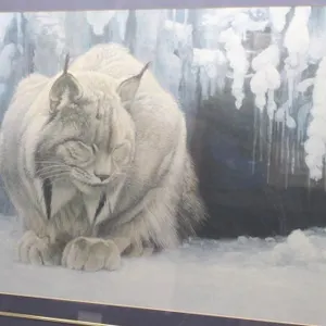 Very Large Robert Bateman Print Dozing Lynx