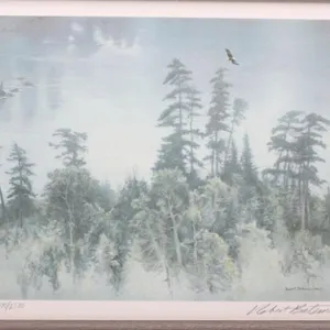 Robert Bateman Ltd Ed Lithograph /2500 Pines