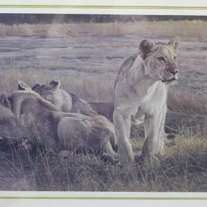 Robert Bateman Print Lions At Dawn