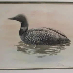 S. Ritter Ltd Ed Print Loon /67 16 x 13 inches