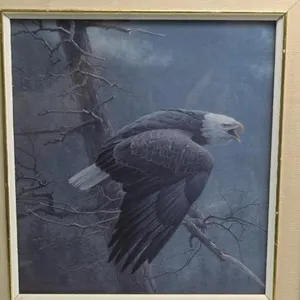 Robert Bateman Print Air, Forest & The Watch