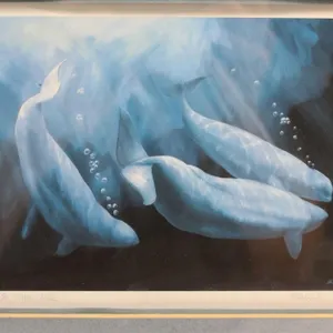 Bruce Mair Print Under The Ice Beluga Whales