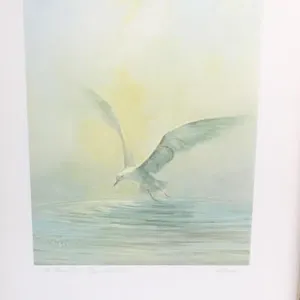 E De Garthe Litho Print Lone Gull Peggys Cove