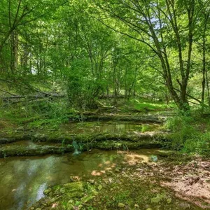 Tract #3 7.30 Acres