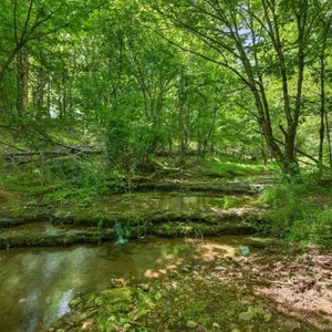 Tract #7 5.79 Acres
