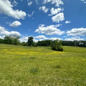 Tract #2 5.02 Acres