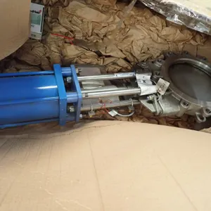 Trueline 10" Knife Gate Valve