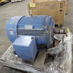 Crown Triton 100 HP AC Motor