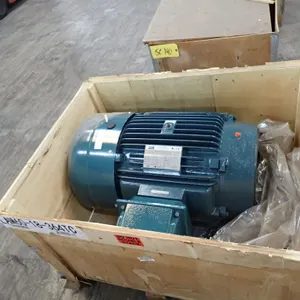 Crus 60 HP Severe Duty Motor