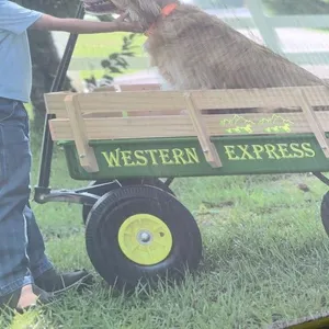WAGON- CHILDRENS ALL TERRAIN FARM WAGON - GREEN