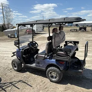 New SDLGC80  electric golf cart