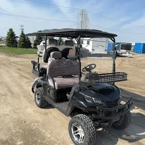 New SDLGC80  electric golf cart