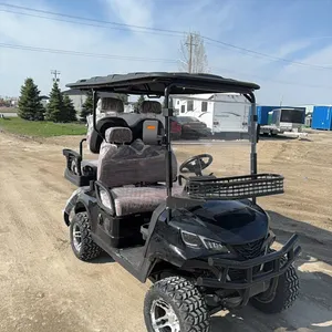 New SDLGC80  electric golf cart