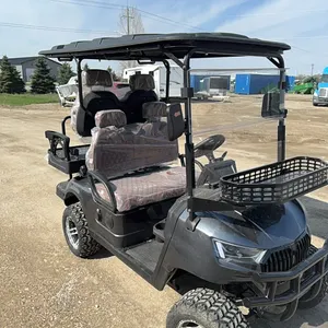 New SDLGC80  electric golf cart
