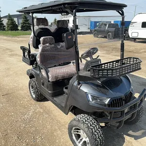 New SDLGC80  electric golf cart