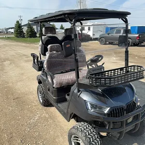 New SDLGC80  electric golf cart