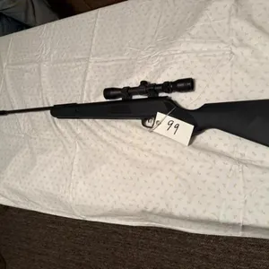 Sportsman RS2 Series Pellet Gun