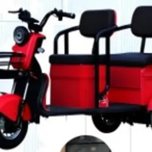 2026 SDLANCH IRGC40 Mini Golf Cart Tricycle