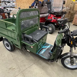 Unused Camo Green 3 Wheel Electric Tricycle Model ET13